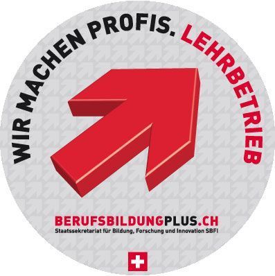 Originales Logo der bestehenden Website