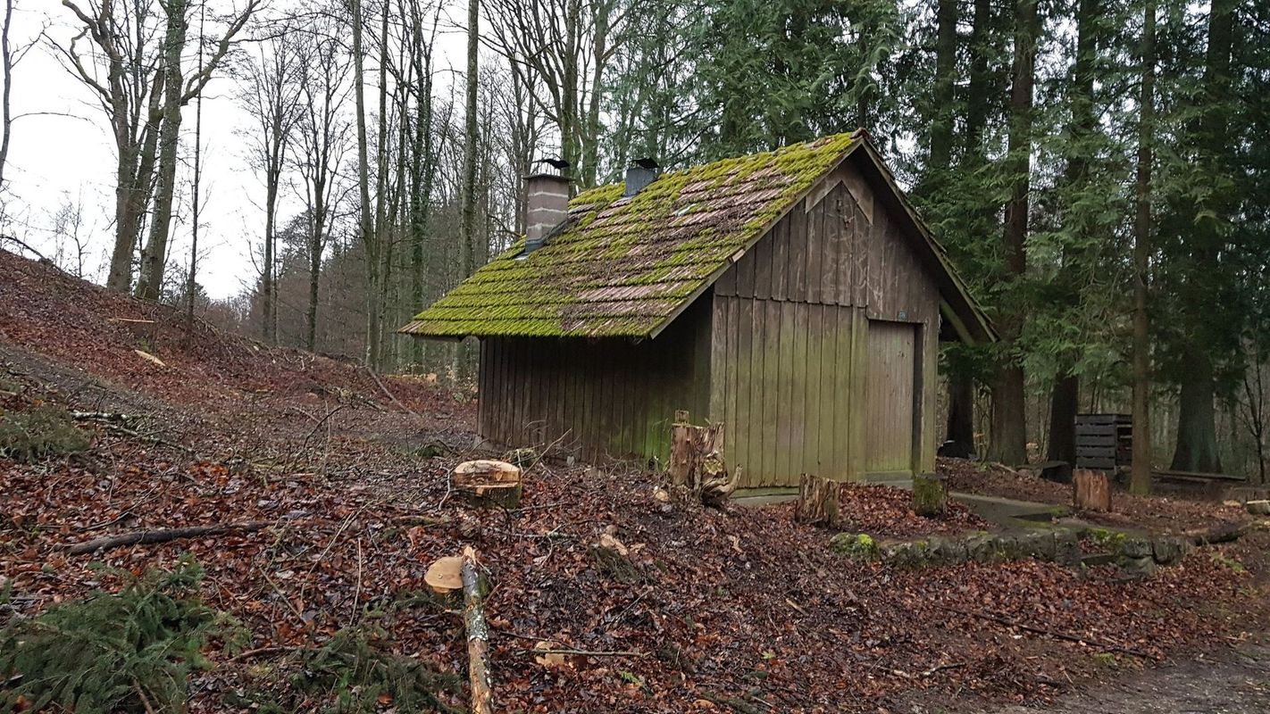 Originalaufnahme der bestehenden Angebotsseite